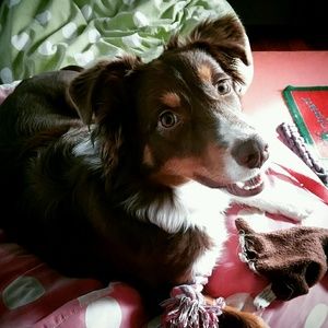 Meet your Posher, Allison